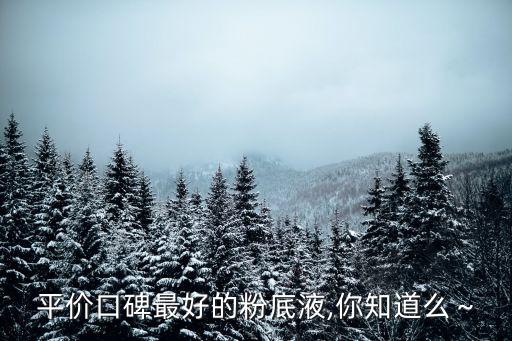 平价口碑最好的粉底液,你知道么～