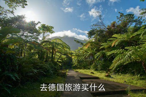 去德国旅游买什么