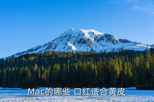 Mac的哪些 口红适合黄皮