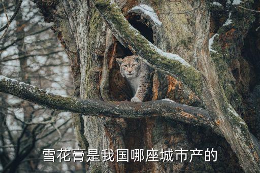 雪花膏是我国哪座城市产的