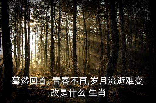 蓦然回首, 青春不再,岁月流逝难变改是什么 生肖