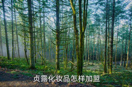 贞露是哪里的品牌,露玛莉先哪里品牌