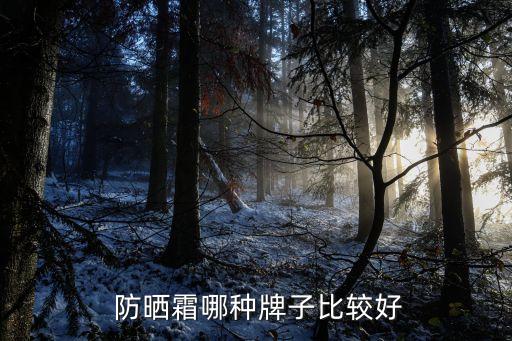  防晒霜哪种牌子比较好