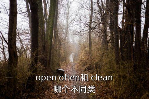 open often和 clean哪个不同类