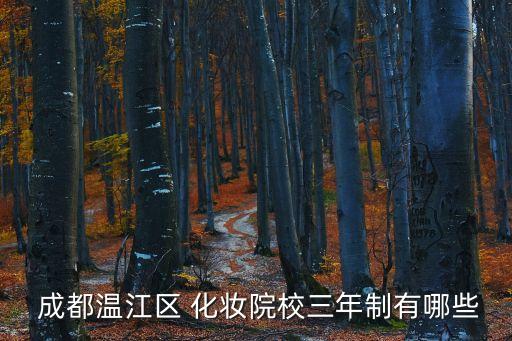  成都温江区 化妆院校三年制有哪些