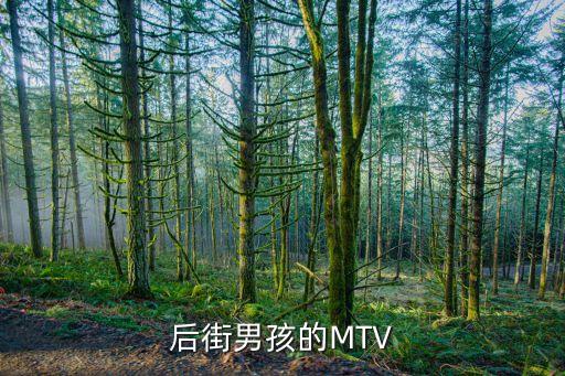 后街男孩的MTV