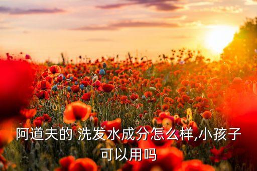 阿道夫的 洗发水成分怎么样,小孩子可以用吗
