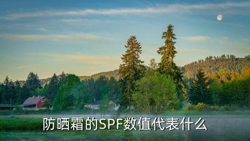 spf22 pa   什么意思,PA在中文里是什么意思？