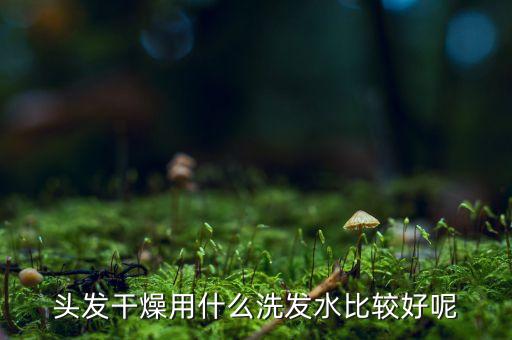 头发干燥用什么洗发水比较好呢