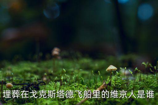 埋葬在戈克斯塔德飞船里的维京人是谁
