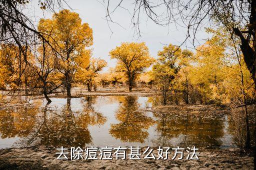 去除痘痘有甚么好方法