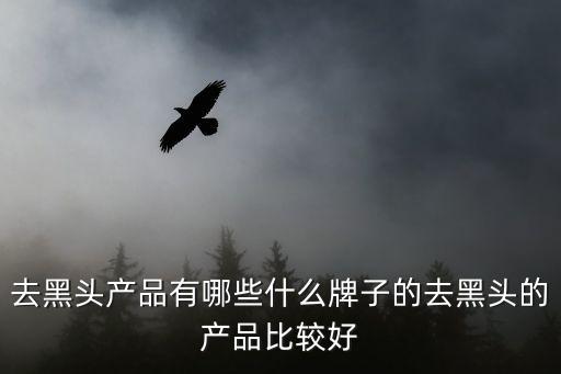去黑头产品有哪些什么牌子的去黑头的产品比较好