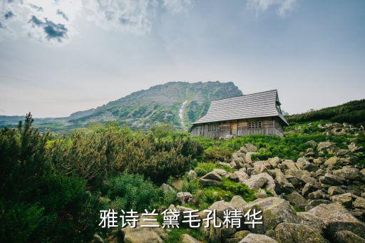 兰芝细肤水多少钱,雅诗兰黛毛孔精华