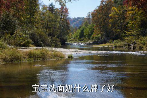 宝宝洗面奶什么牌子好