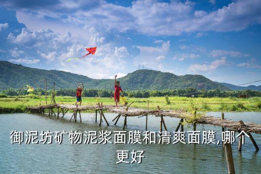 御泥坊矿物泥浆面膜和清爽面膜,哪个更好