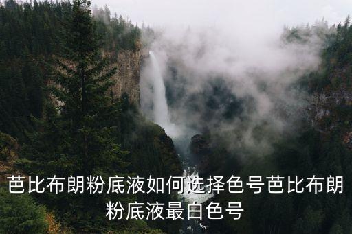芭比布朗粉底液如何选择色号芭比布朗粉底液最白色号