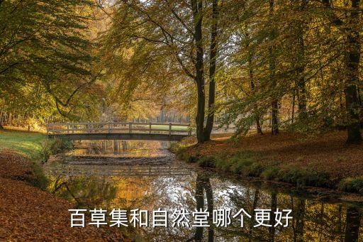 百草宜化妆品怎么样,佰草集的化妆品怎么样？