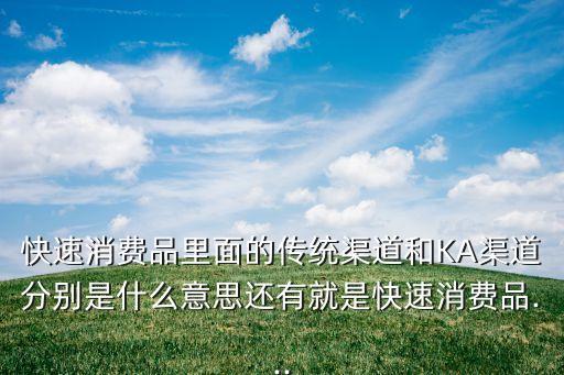 快速消费品里面的传统渠道和KA渠道分别是什么意思还有就是快速消费品...