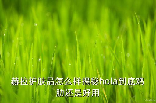 郝拉牛奶多效素颜霜怎么样