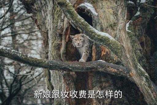 新娘跟妆收费是怎样的