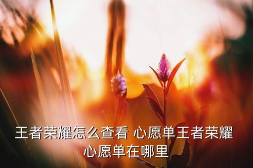 聚美加入心愿单怎么抢