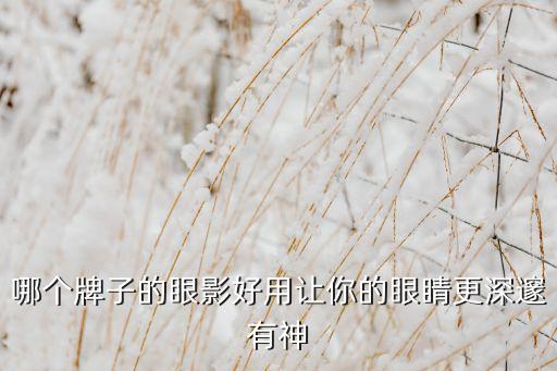 revlon膏状眼影怎么样,眼影分为几个新手眼影选择指南
