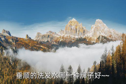 垂顺的洗发水哪一种牌子好~~