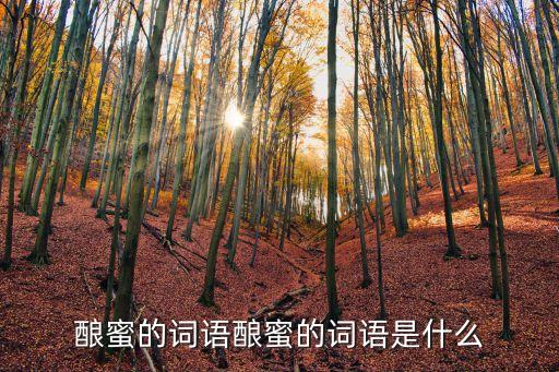 诗蜜安黛哪里可买到