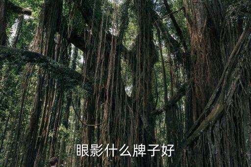 眼影什么牌子好