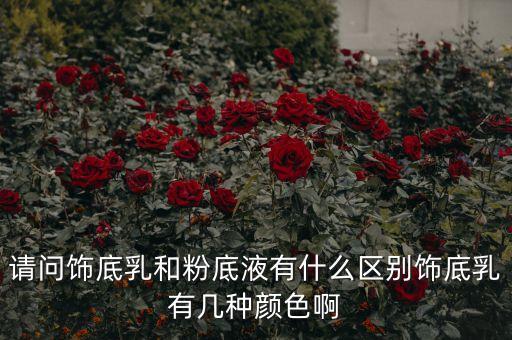 百雀羚修饰乳是什么