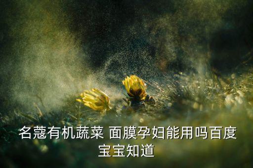 名蔻有机蔬菜 面膜孕妇能用吗百度宝宝知道