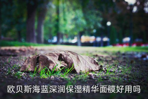 欧贝斯海蓝深润保湿精华面膜好用吗