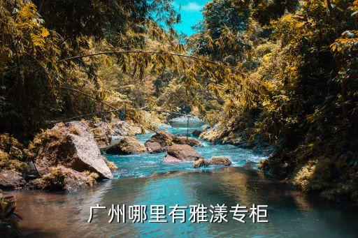 广州哪里有雅漾专柜