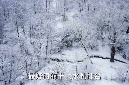 最好用的十大水乳排名