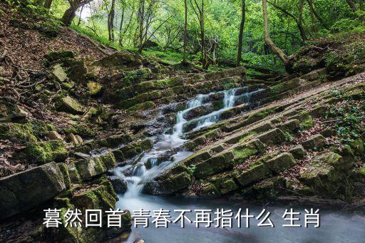 暮然回首 青春不再指什么 生肖