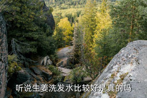 水奇迹生姜洗发水怎么样,欧若曦生姜洗发水怎么样？