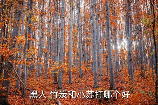  黑人 竹炭和小苏打哪个好
