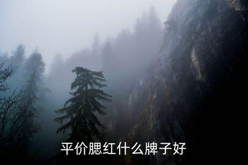 平价腮红什么牌子好