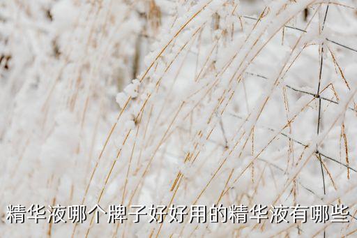 精华液哪个牌子好好用的精华液有哪些
