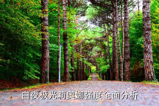 白夜极光莉奥娜强度全面分析