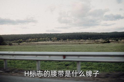 H标志的腰带是什么牌子