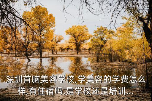 深圳首脑美容学校,学美容的学费怎么样,有住宿吗,是学校还是培训...