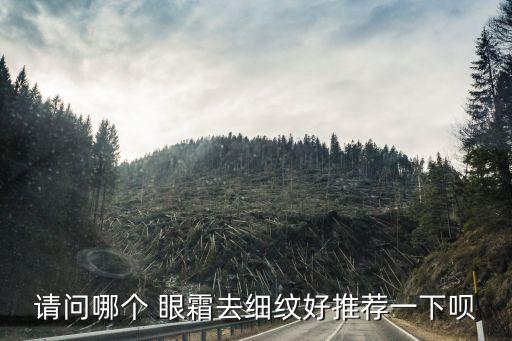请问哪个 眼霜去细纹好推荐一下呗