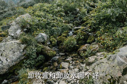 卸妆膏和卸妆水哪个好