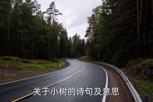 小树芳香片什么好闻,香树品种