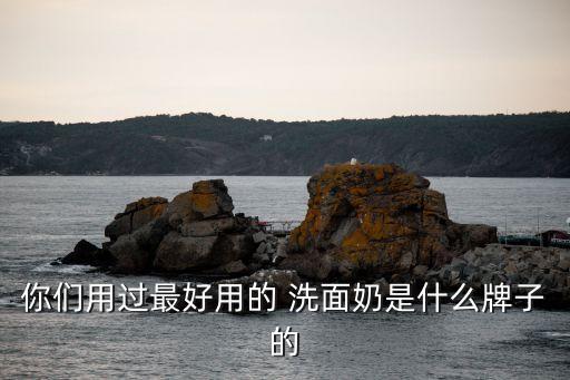你们用过最好用的 洗面奶是什么牌子的