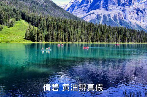 碧倩黄油如何分有油跟无油