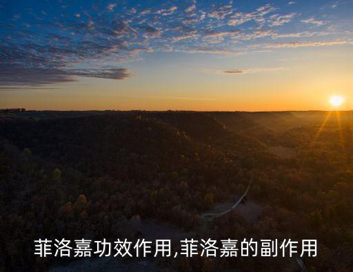 菲洛嘉抗皱面膜如何,深圳阿里网络科技有限公司