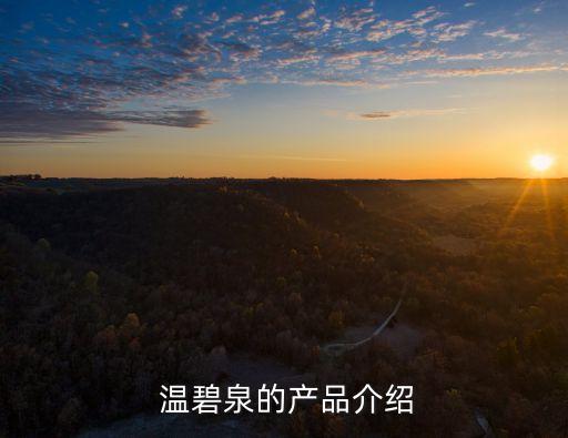 温碧泉修颜霜多少钱