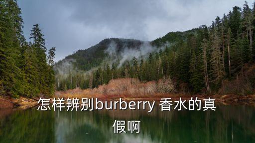怎样辨别burberry 香水的真假啊